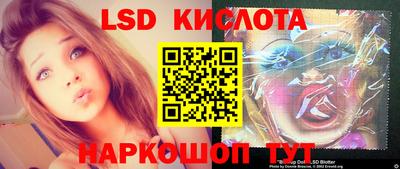 шишки Ставрополь